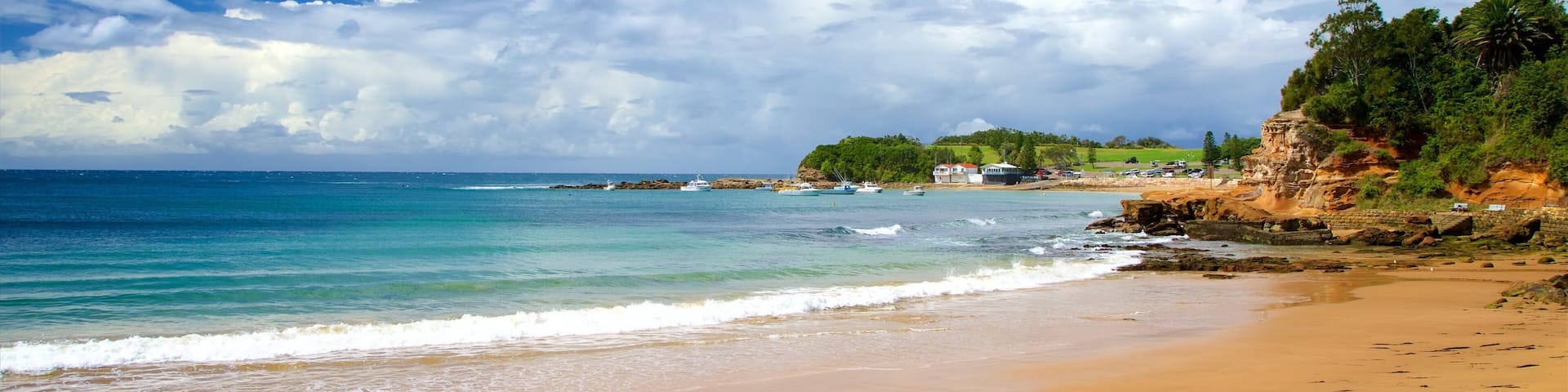 Terrigal das einen Bucht oder Hafen und Strand