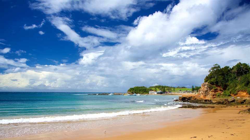 A beach with clear turquoise water, a sandy shore, and a rocky cliff with greenery.
