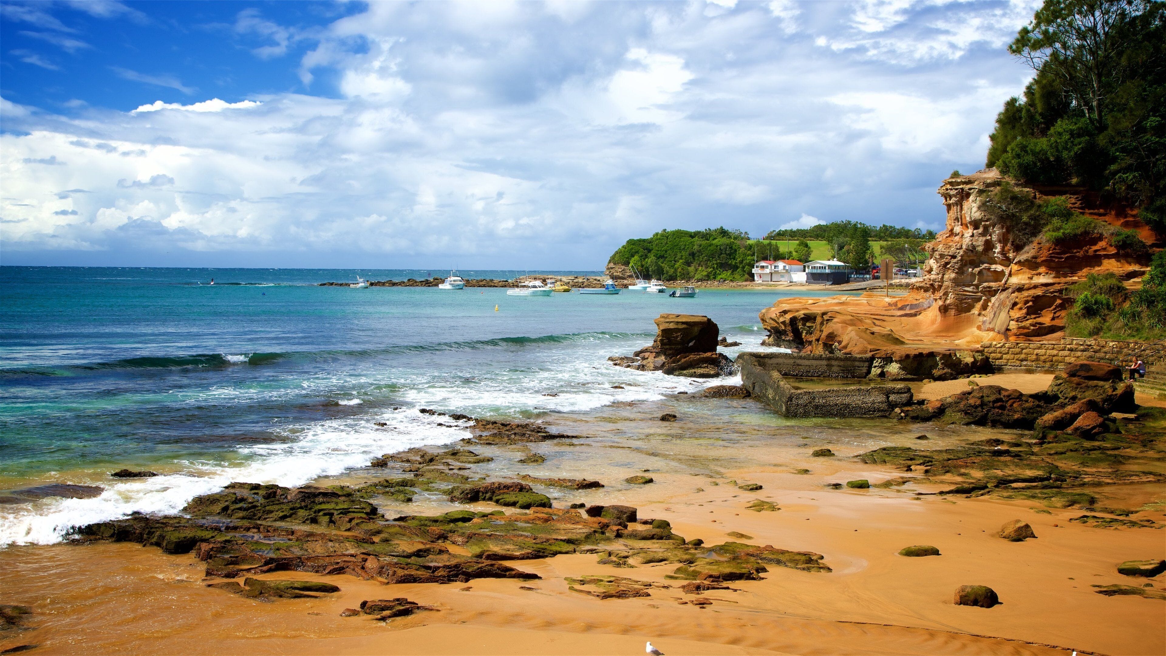 Terrigal che include spiaggia, costa frastagliata e baia e porto