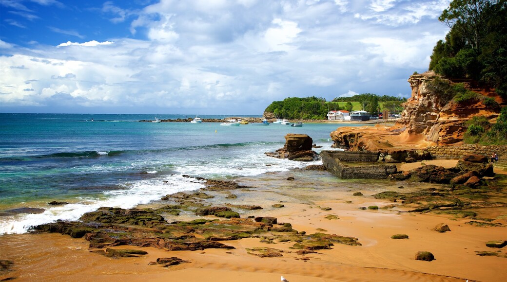 Terrigal che include spiaggia, costa frastagliata e baia e porto