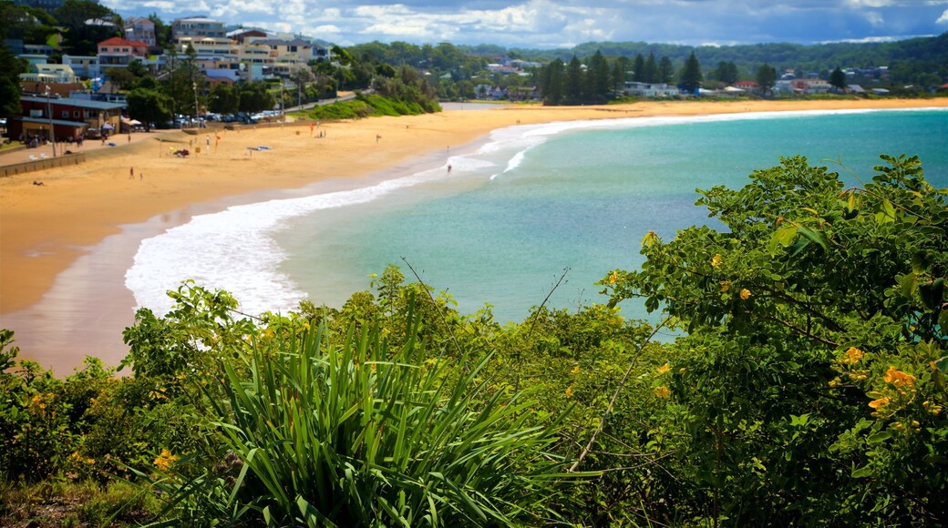 Terrigal che include località costiera, baia e porto e spiaggia