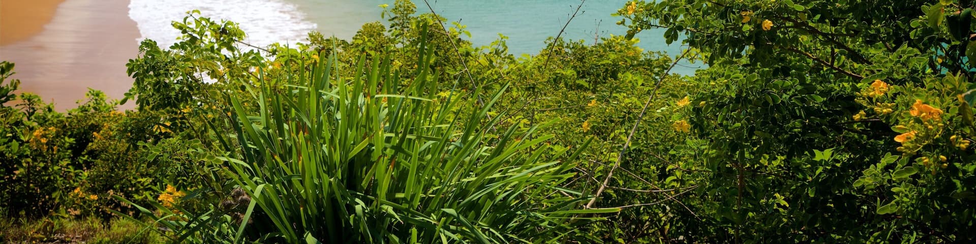Terrigal showing a bay or harbor, a coastal town and a sandy beach