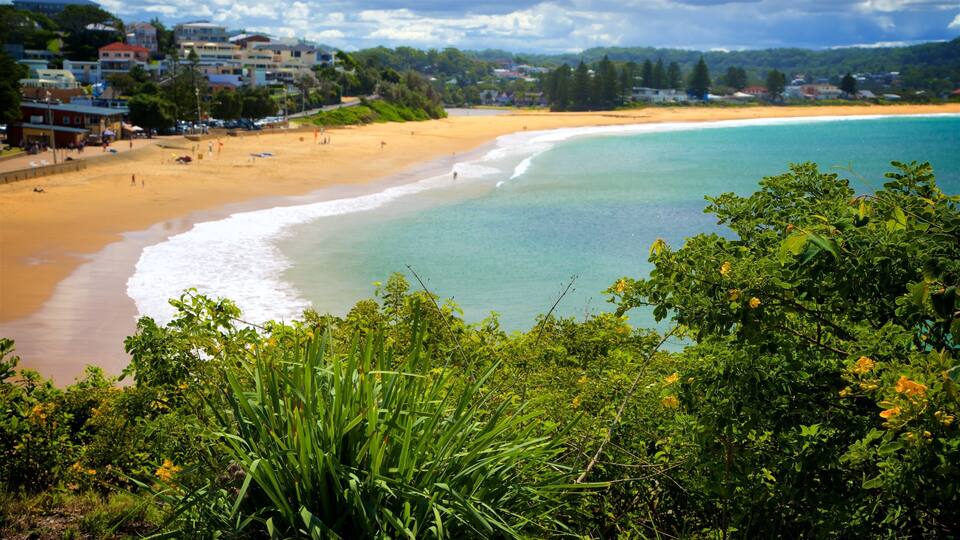 A beach with clear turquoise water, sandy shore, and lush greenery in the foreground.