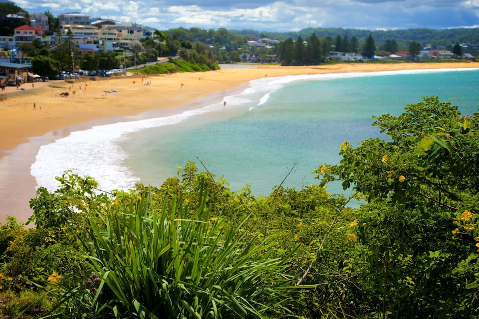 A beach with clear turquoise water, sandy shore, and lush greenery in the foreground.