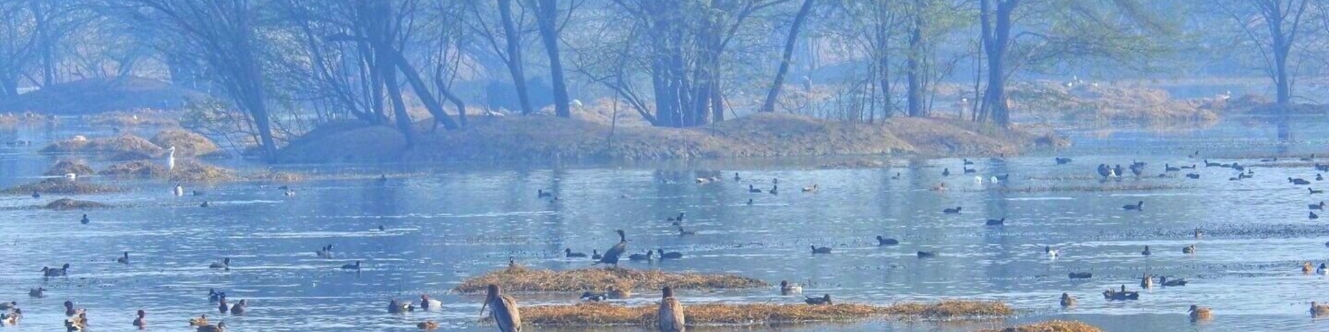 Bird Park opens at 7:30am, it's best to visit in winter during migration period in early morning or in afternoon before 4pm
#lifeatexpedia #india #park #outdoor #trovember