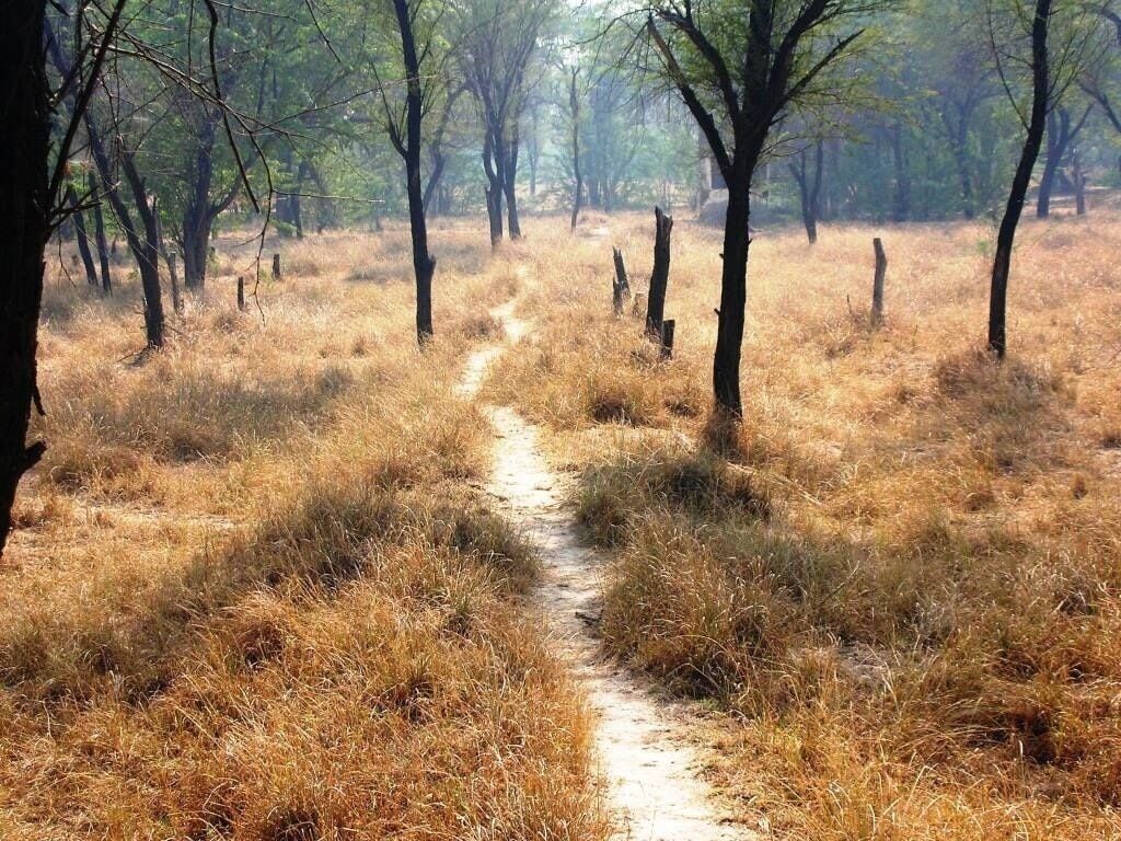 Cool place for bird watchers to visit in winters located around 40 km from New Delhi. 