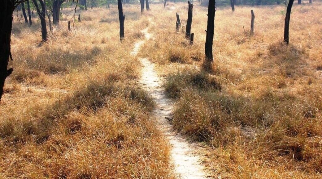 Cool place for bird watchers to visit in winters located around 40 km from New Delhi.