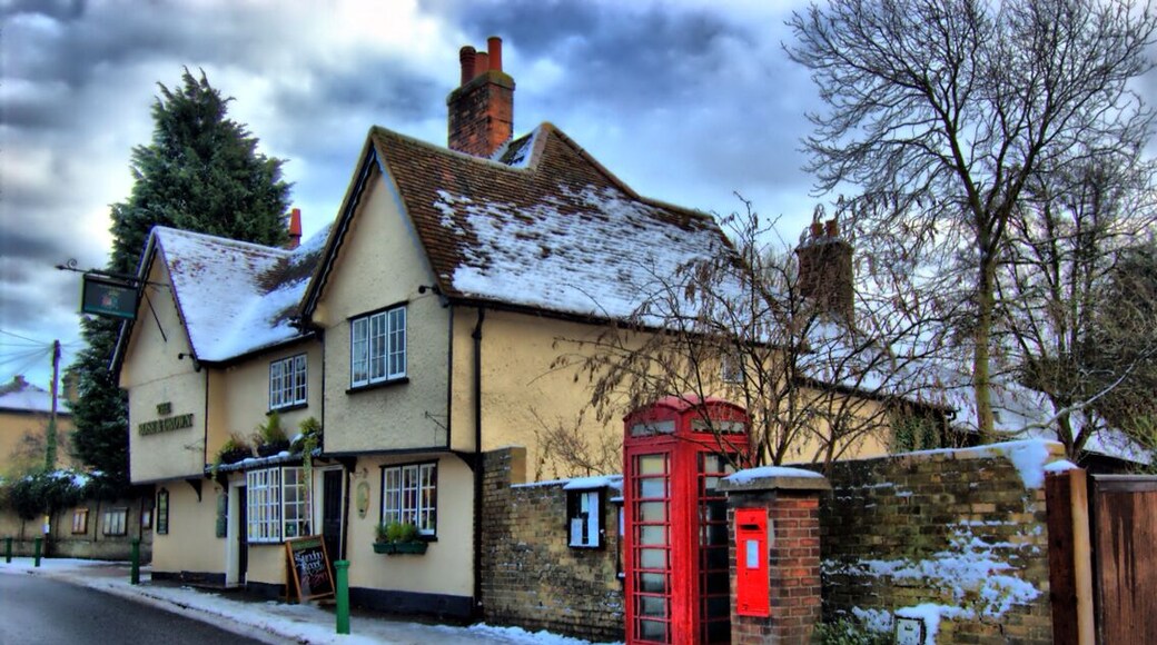 A really cosy pub in Ashwell, Hertfordshire, UK. This town is such a nice, tranquil place to visit. It was hit with the plague and there is a church with a lot if information about this chapter in England's history. The pub was great too!