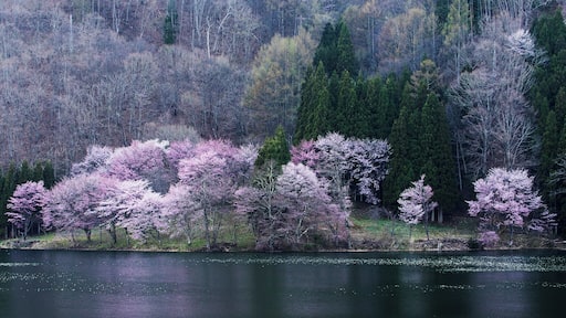 This is one of the beautiful place of Nagano in Japan. In Spring, you can see reflection of sakura blossom from the lake surface.