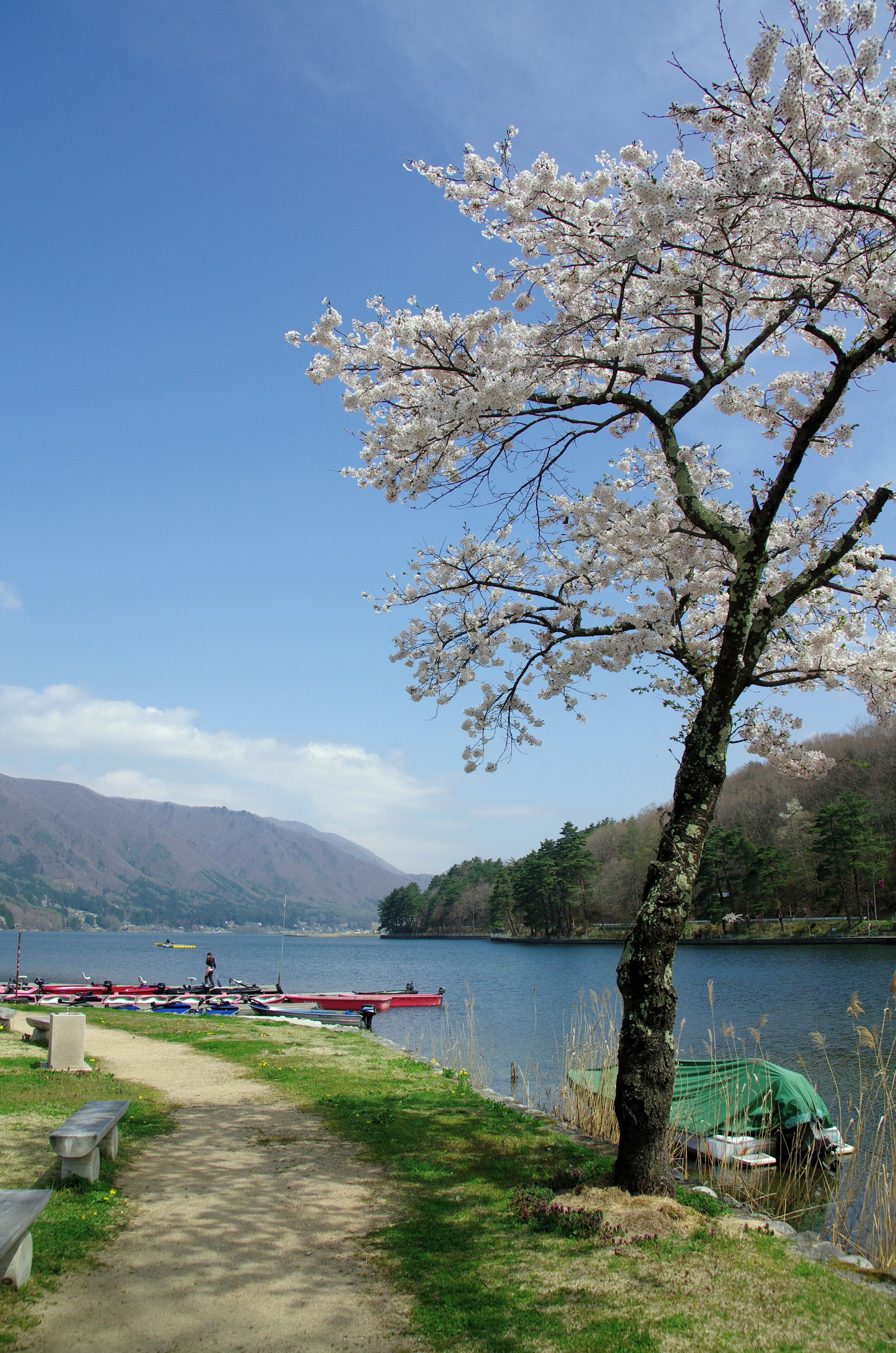 Lake Kizaki seen from the park next to Seiko-tei boat-house. ---> See the map.