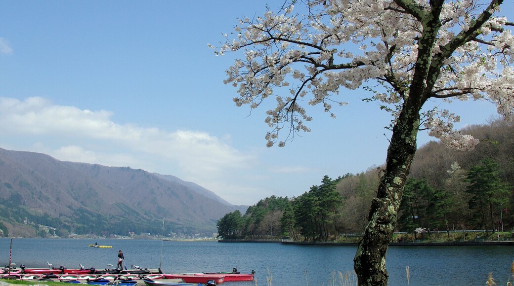 Lake Kizaki seen from the park next to Seiko-tei boat-house. ---> See the map.