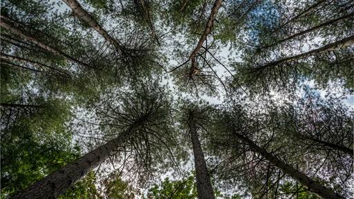 Houthalen-Helchteren