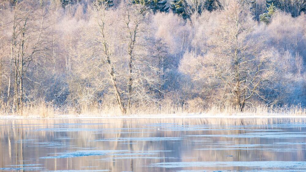 River in a cold winter landscape with snow and frost