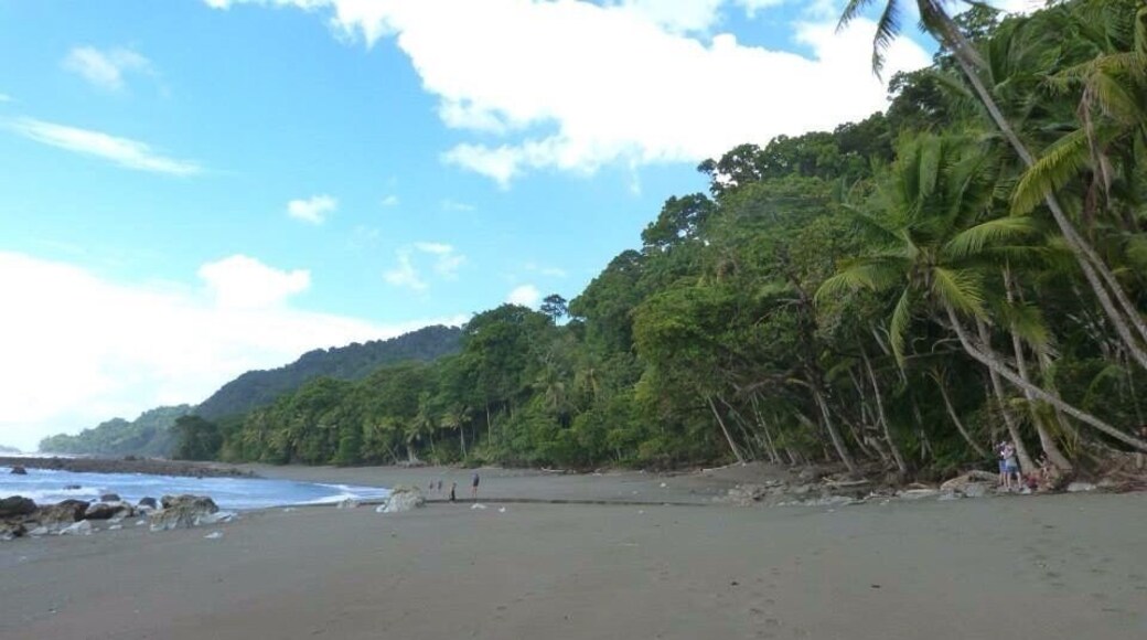 The road to Sirena Ranger Station