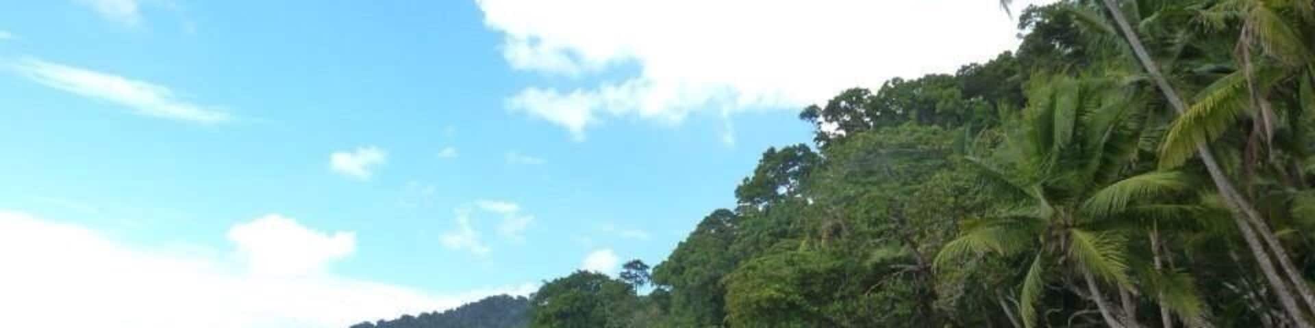 The road to Sirena Ranger Station