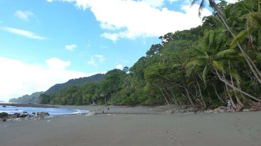The road to Sirena Ranger Station