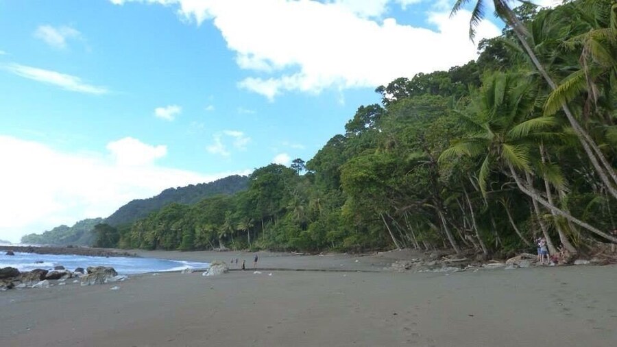 The road to Sirena Ranger Station