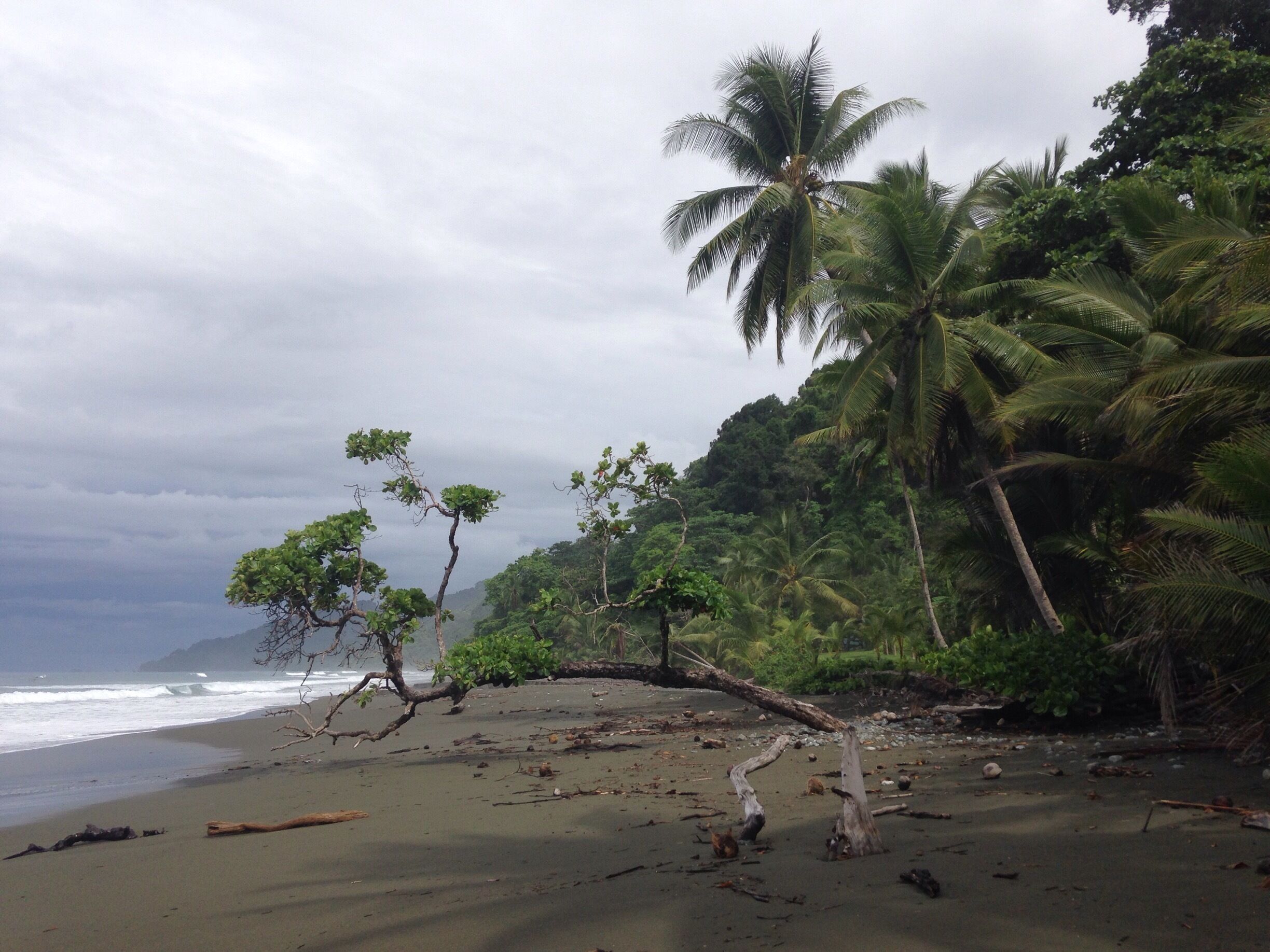 Pacific coast Costa Rica
