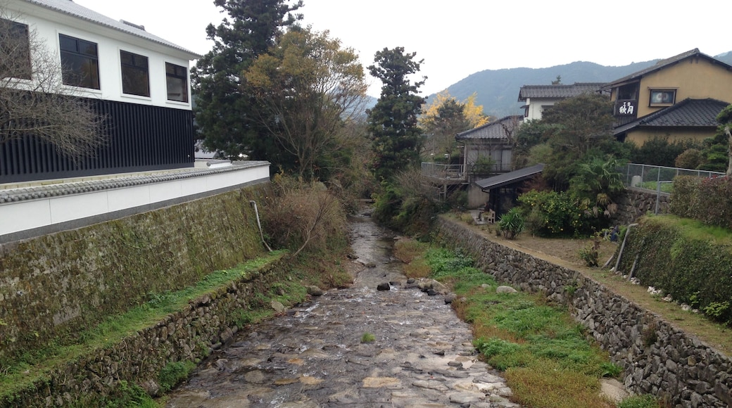 秋月・野鳥橋より望む野鳥川(下流側)