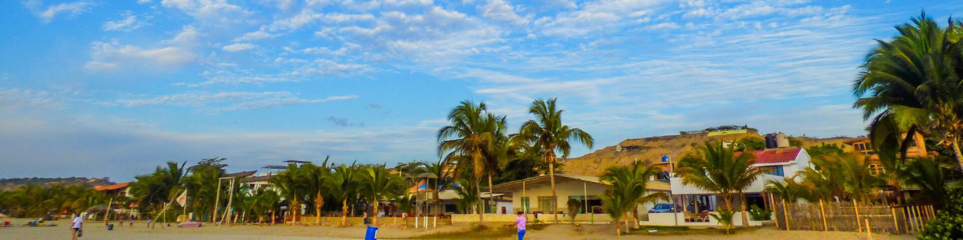 A beach with palm trees, a clear sky, and a few buildings in the background.
