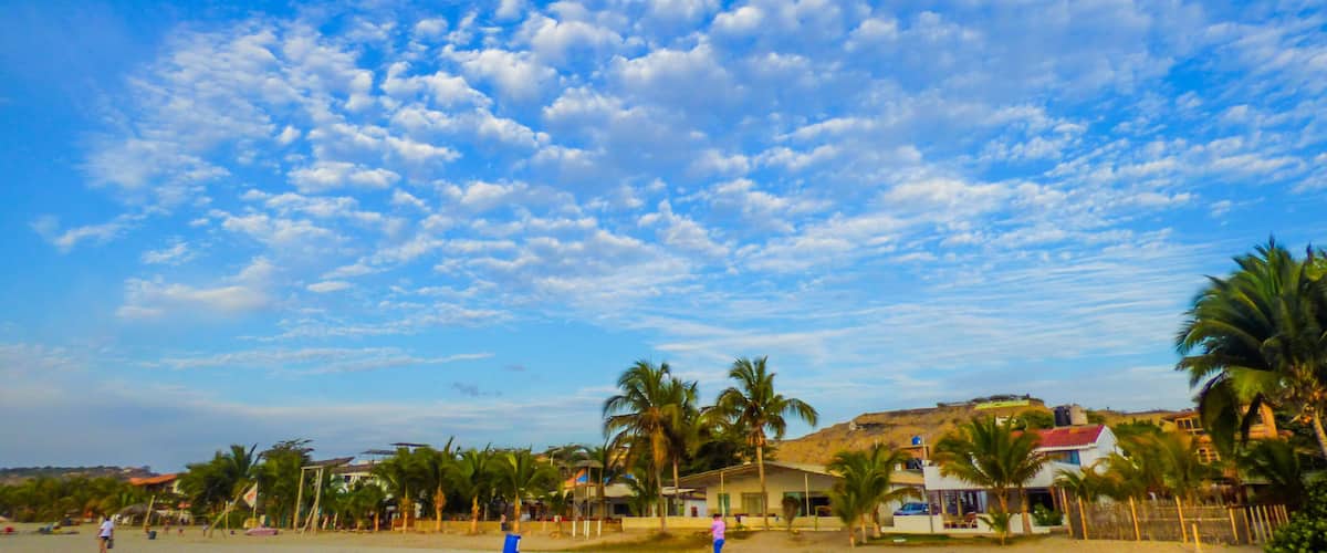 A beach with palm trees, a clear sky, and a few buildings in the background.