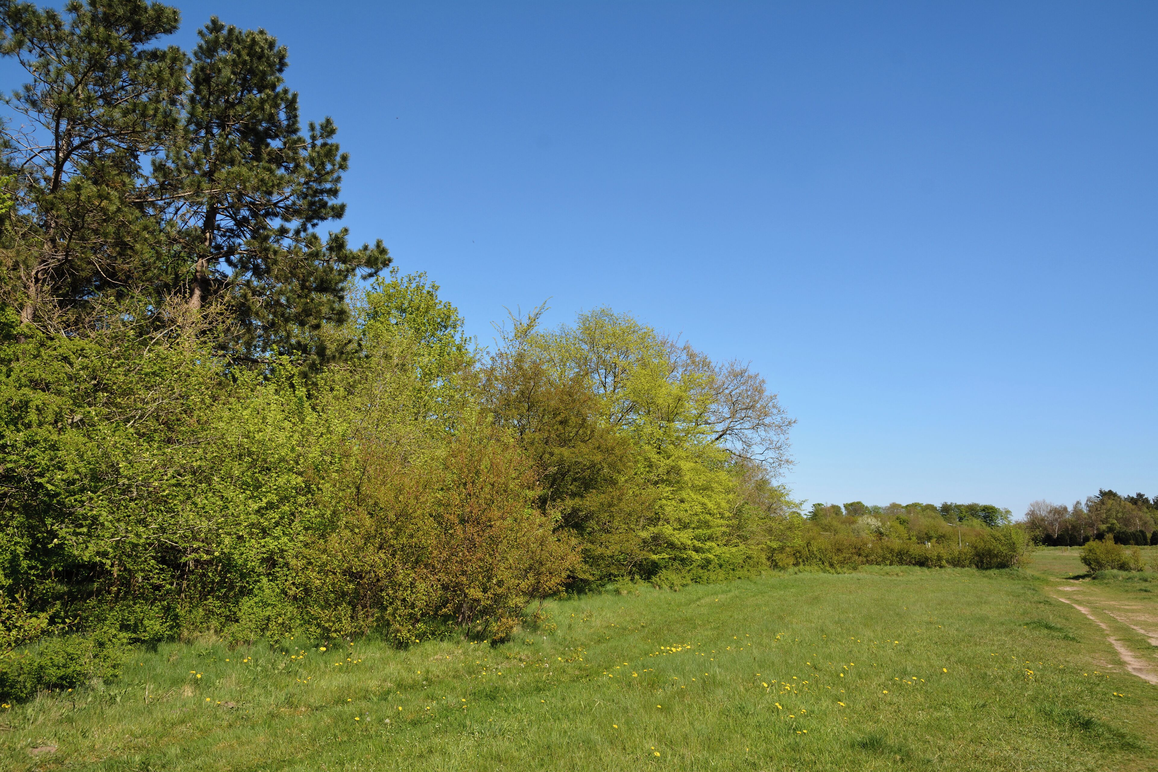 Impressionen aus dem Naturerlebnisraum "Posberg" in Süderlügum