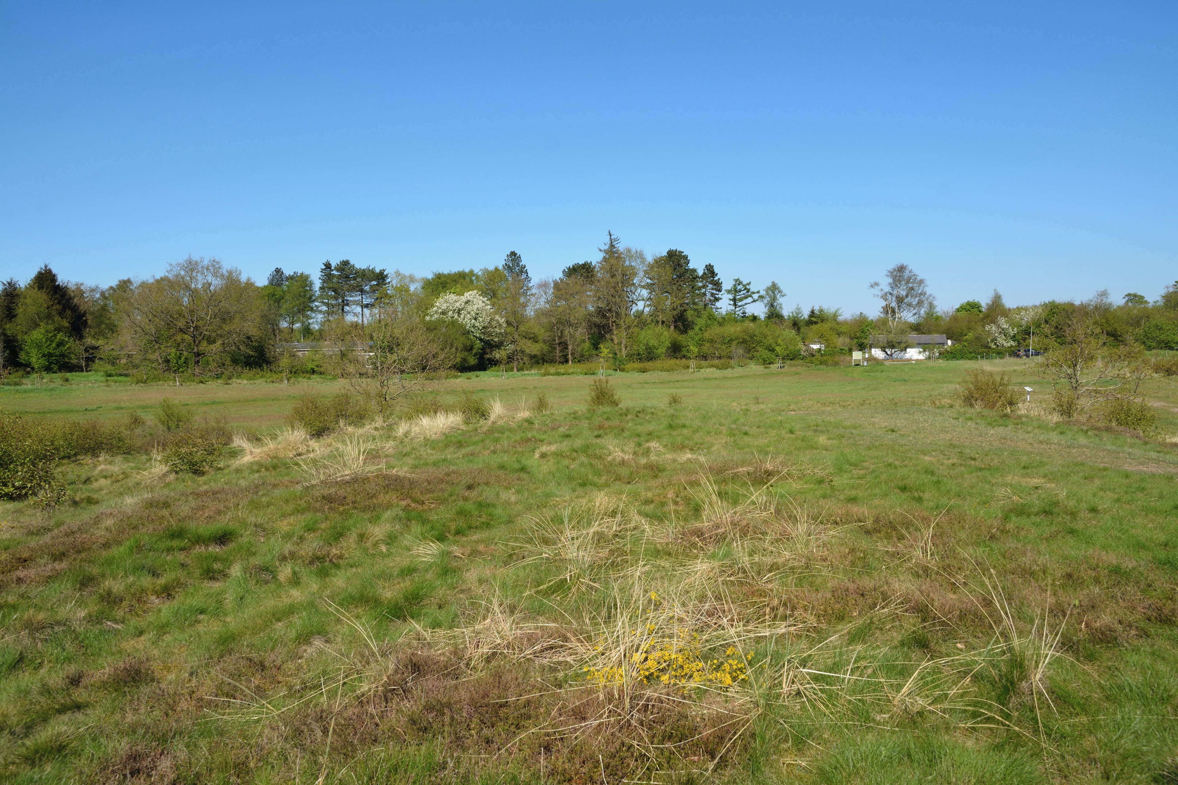 Impressionen aus dem Naturerlebnisraum "Posberg" in Süderlügum