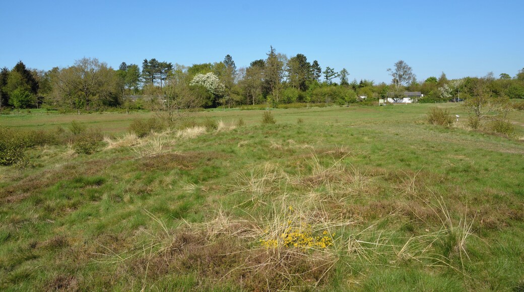 Impressionen aus dem Naturerlebnisraum "Posberg" in Süderlügum