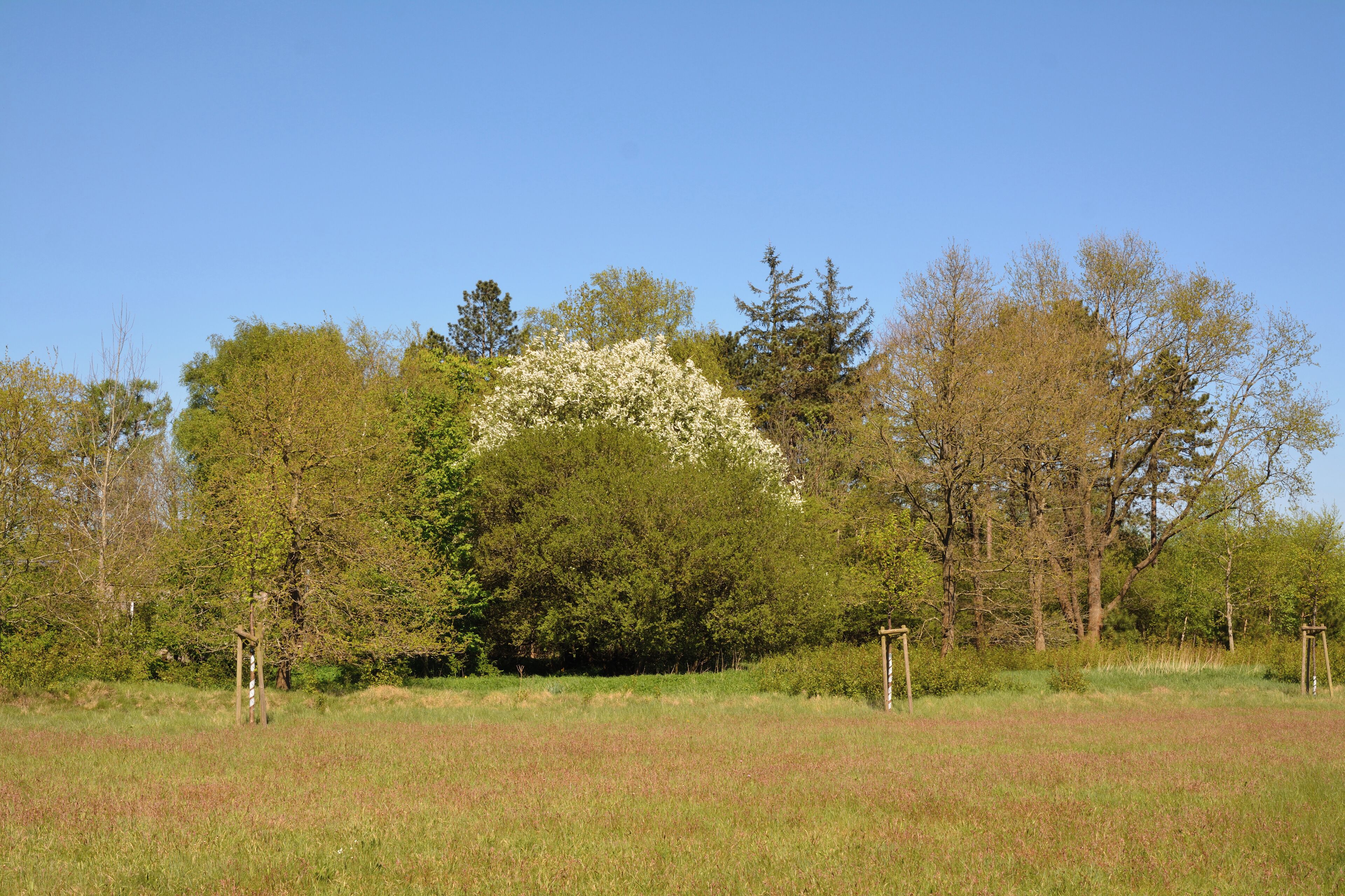 Impressionen aus dem Naturerlebnisraum "Posberg" in Süderlügum