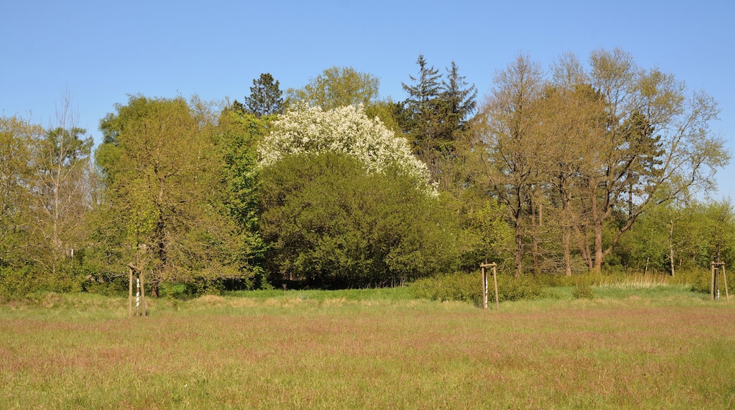 Impressionen aus dem Naturerlebnisraum "Posberg" in Süderlügum