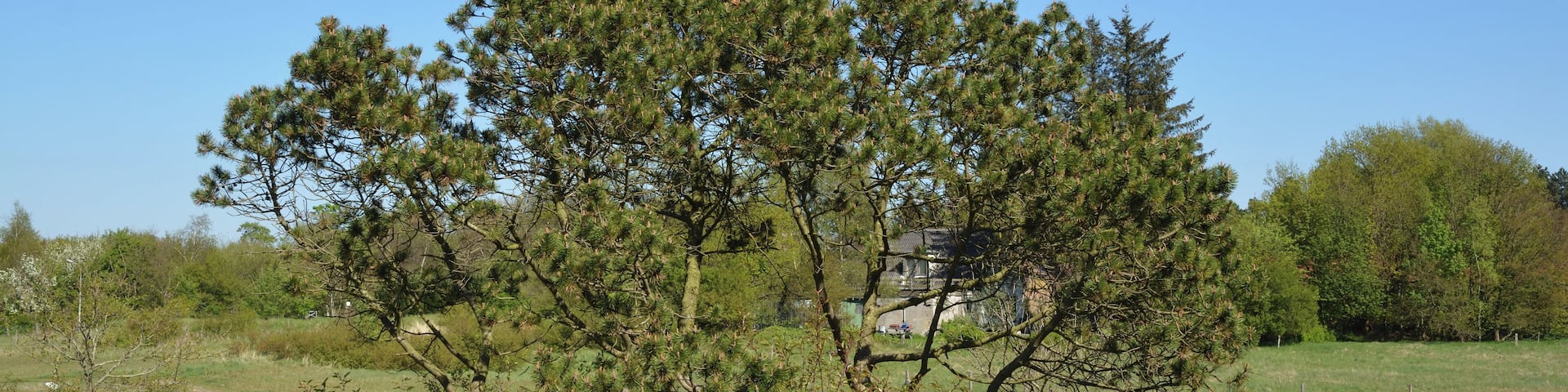 Impressionen aus dem Naturerlebnisraum "Posberg" in Süderlügum