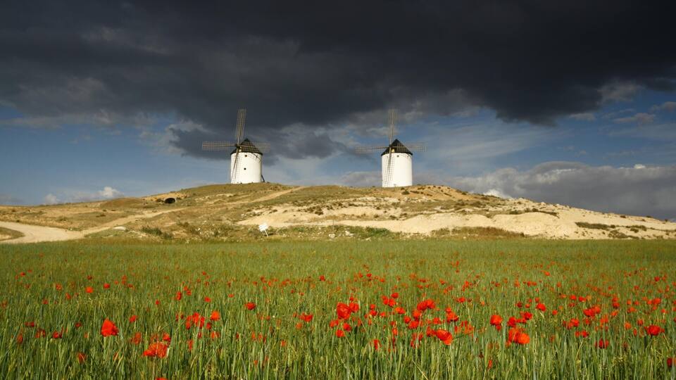 A field of red poppies and two windmills on a hill under a cloudy sky.
