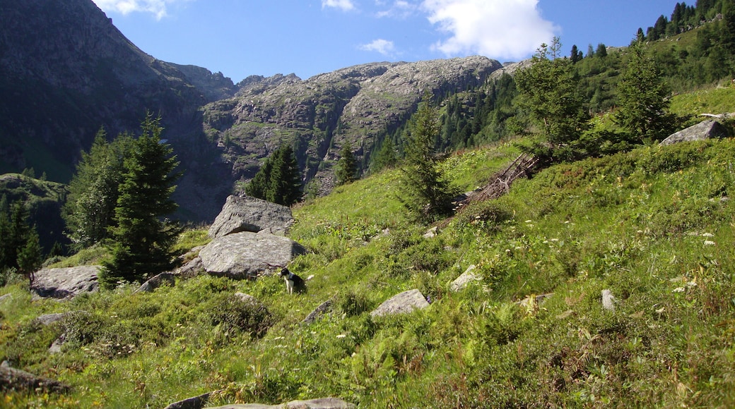 variante fuori programma verso la coppolà