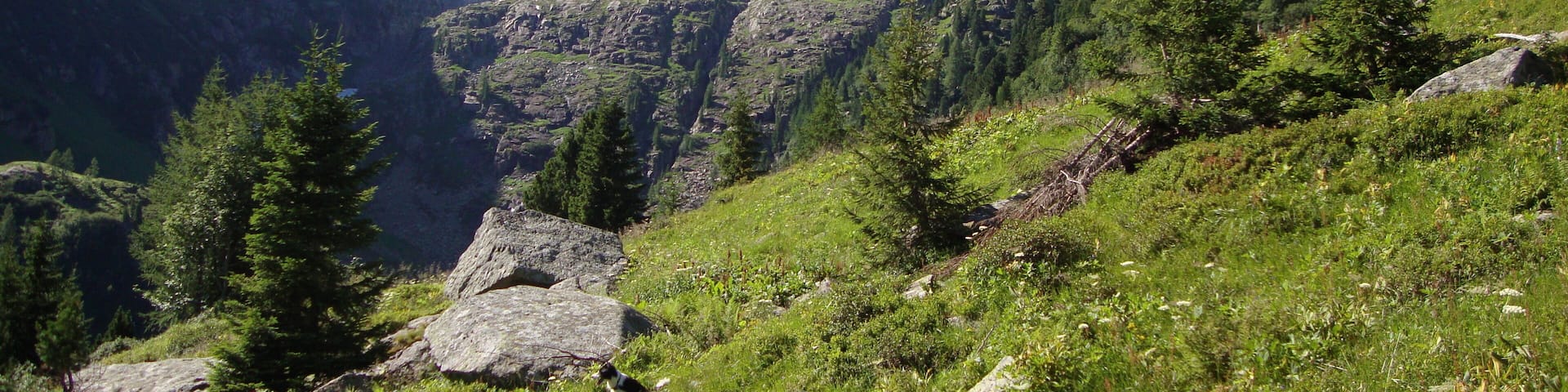 variante fuori programma verso la coppolà