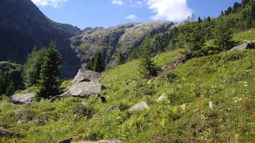 variante fuori programma verso la coppolà