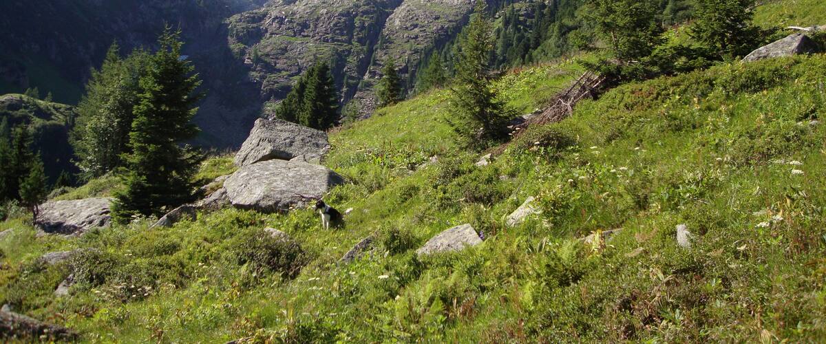 A mountainous landscape with rocky terrain, green vegetation, and a clear blue sky.