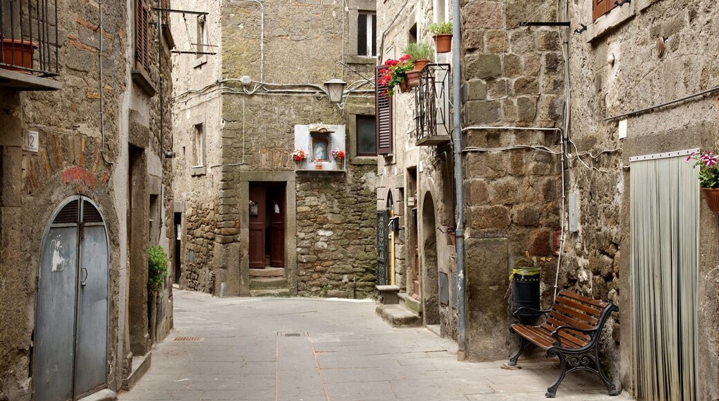 Bagnaia trong đó bao gồm kiến trúc di sản