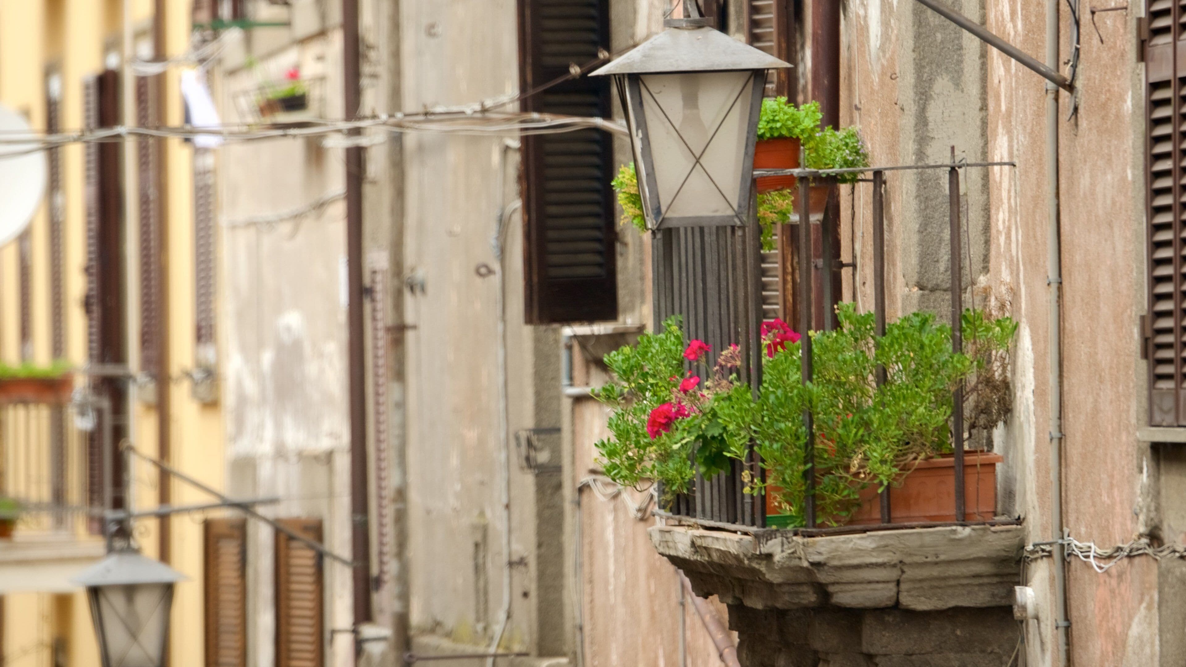 A balcony with a lantern, potted plants, and flowers.