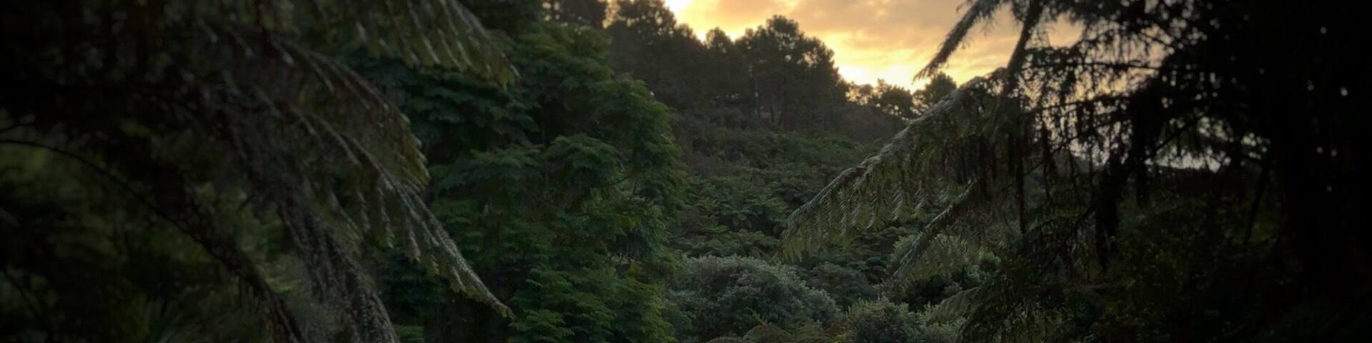 Beautiful sunset while having a walk in Te Puna.