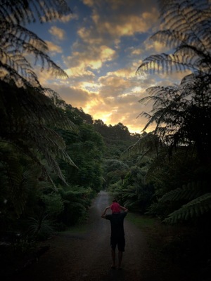 Beautiful sunset while having a walk in Te Puna.