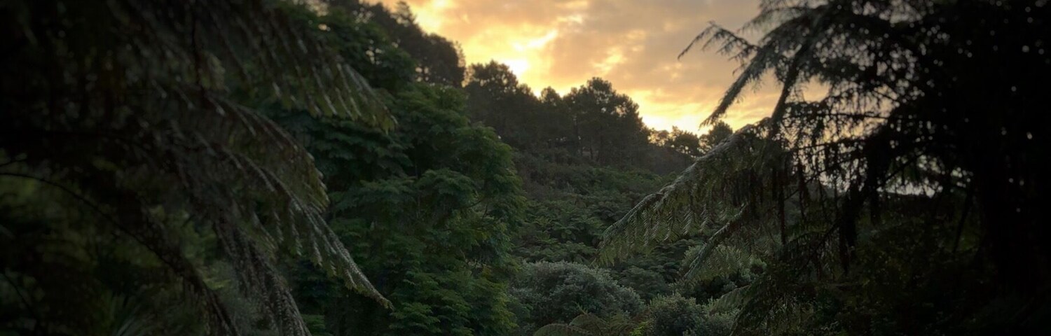 Beautiful sunset while having a walk in Te Puna.