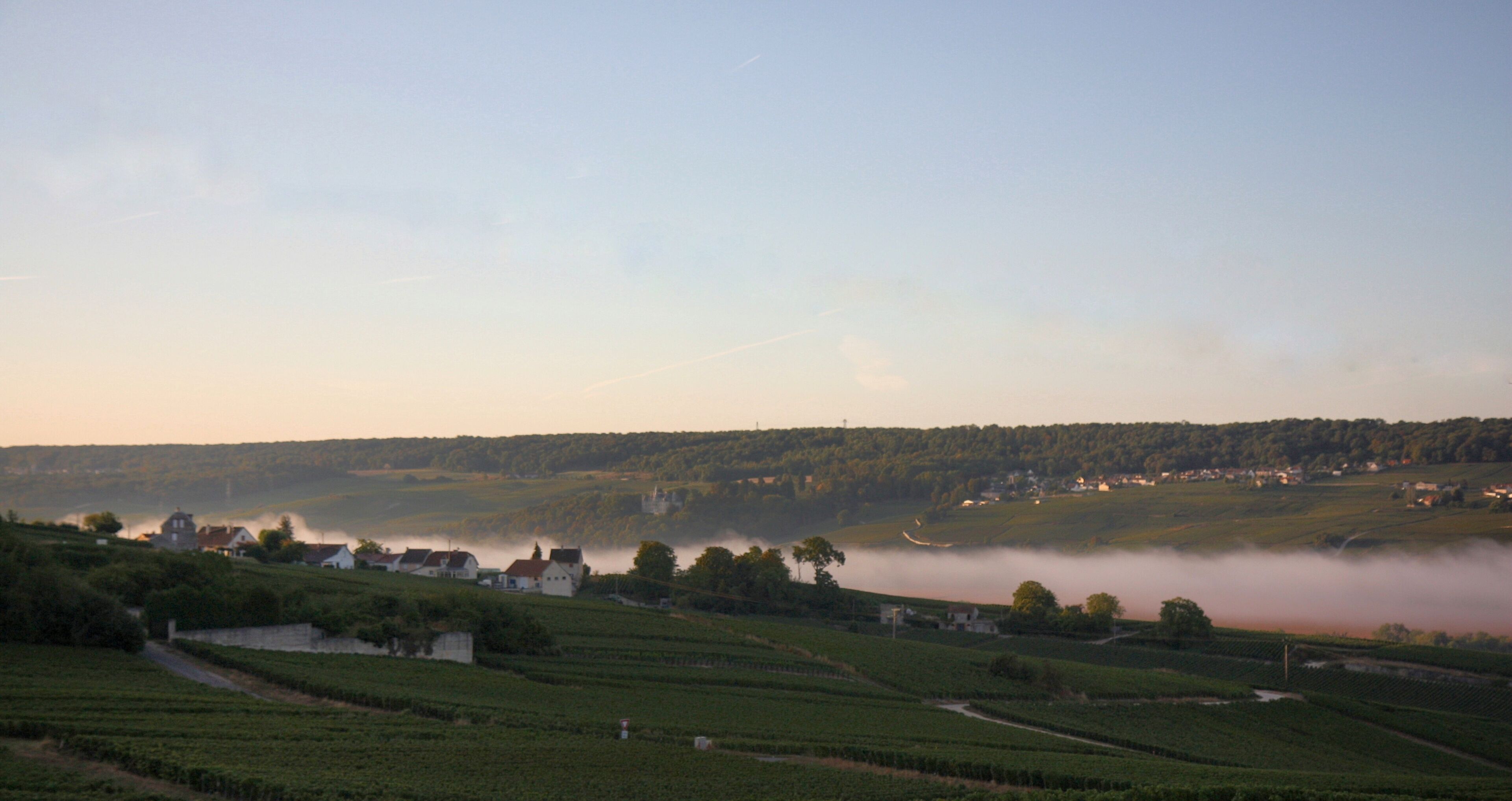 A vineyard landscape with mist over a valley, houses, and rolling hills.