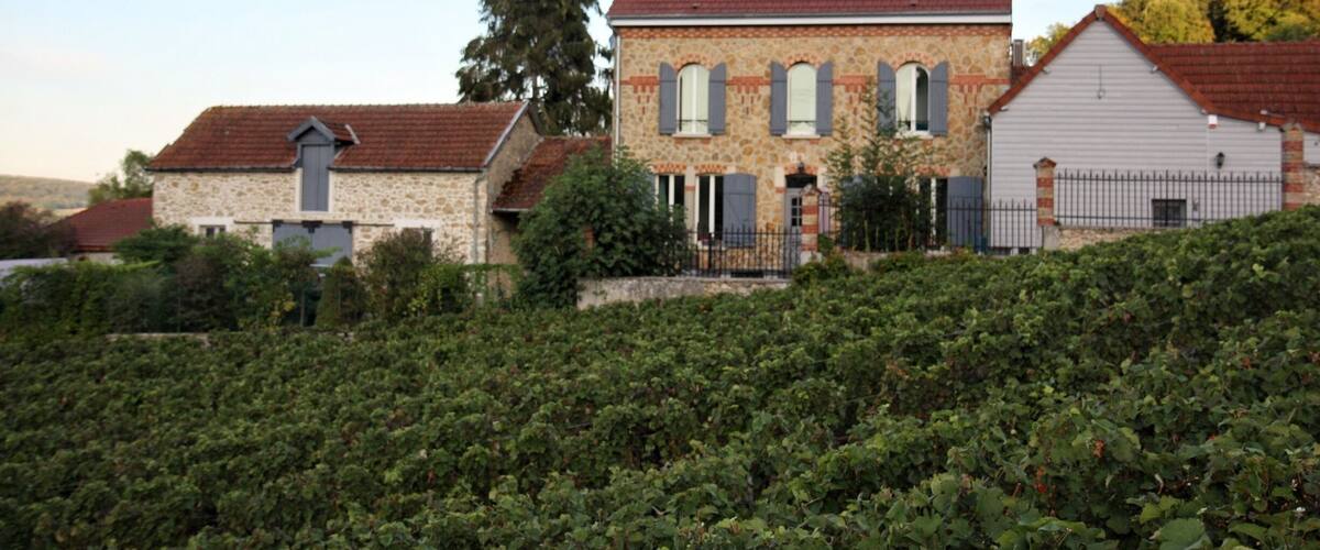 The place in the vineyard where we lived.
160€ for two nights for two persons a house for eight persons.