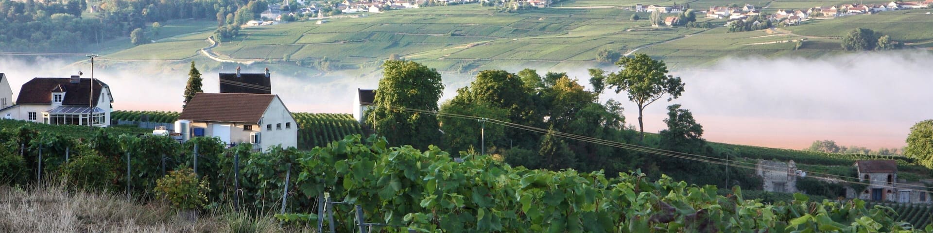 Early in the morning