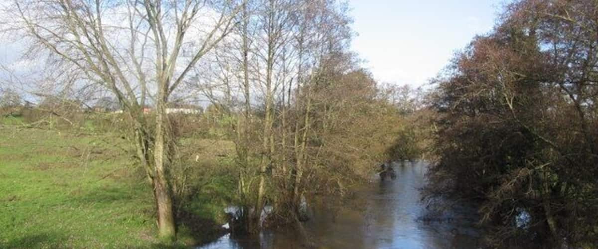 A narrow river with trees on both sides.