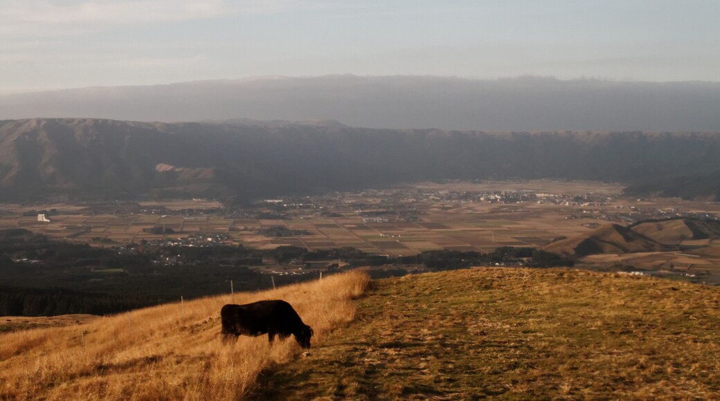 North view, with the north caldera wall in the distance