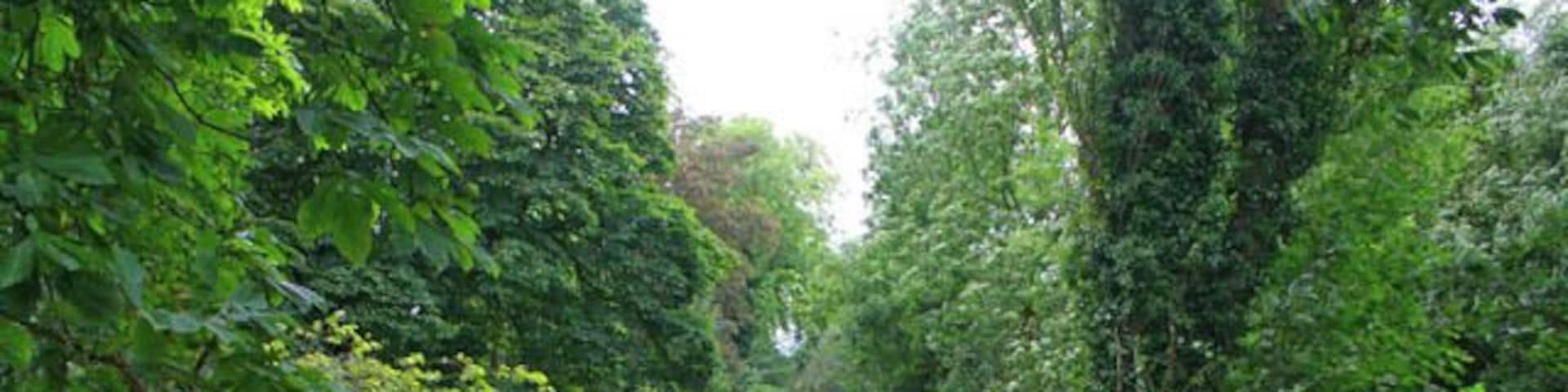 Gardens at Langar Hall. Typical of the Vale of Belvoir villages, Langar is built on a shallow ridge above the floor of the Vale. 54676, on the edge of the village, sits right on the edge of the ridge. The main landscaped gardens to the north drop steeply away from the drive and car-park towards a "ribbon" lake set out in a grid pattern, see the 1:25000 OS map. The stone wall with the pineapple finials is all that remains of an ornamental bridge which once crossed an extension of the lake, now filled in.
