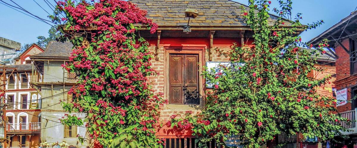 A traditional building with a red facade, a wooden door, and a balcony. There are flowering plants and a green trash bin in front.