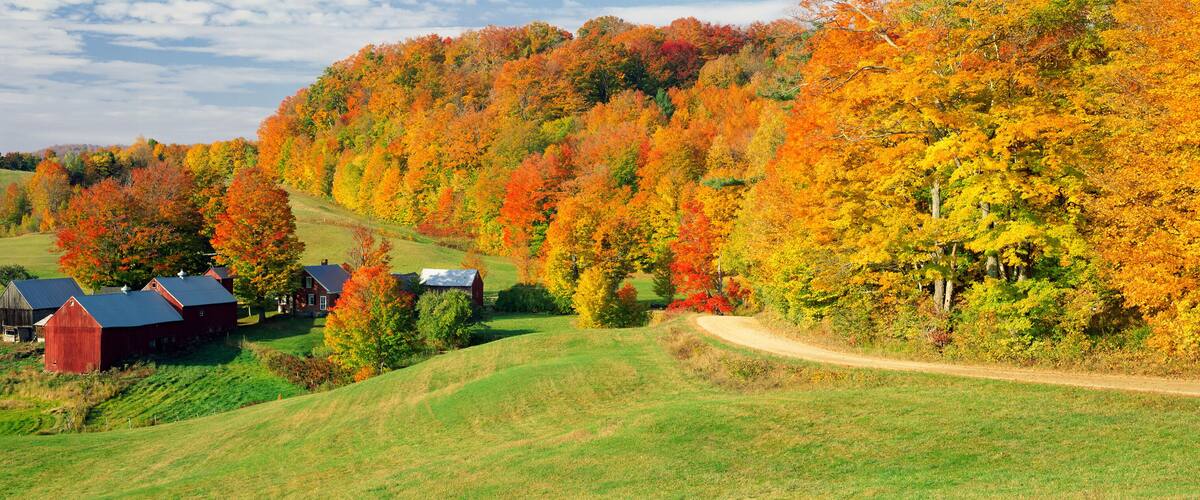 Fall foliage surrounding red barns at Jenne Farm in South Woodstock, Vermont, New England, North America