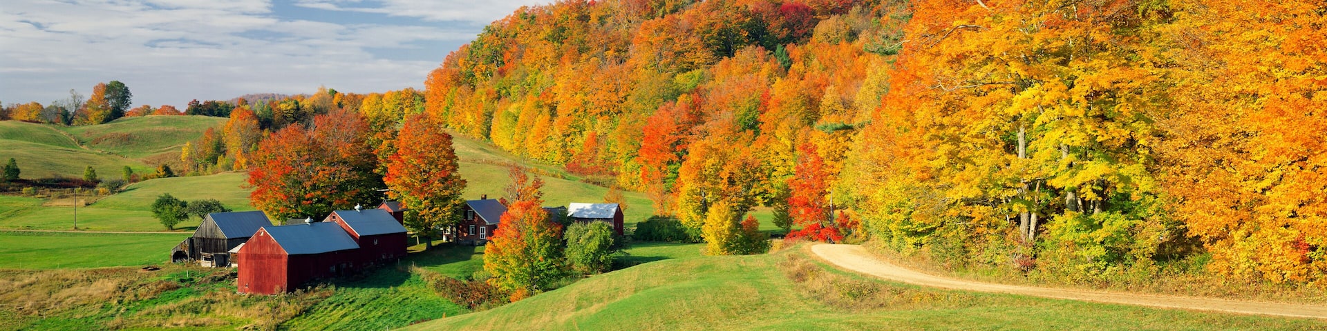 Fall foliage surrounding red barns at Jenne Farm in South Woodstock, Vermont, New England, North America